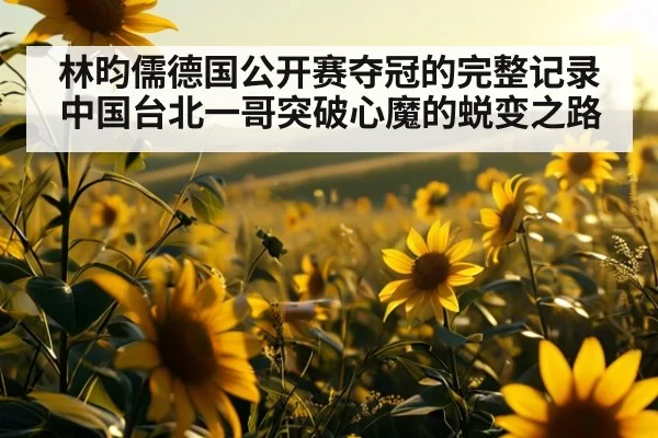 林昀儒德国公开赛夺冠的完整记录中国台北一哥突破心魔的蜕变之路