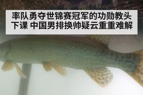 率队勇夺世锦赛冠军的功勋教头下课 中国男排换帅疑云重重难解